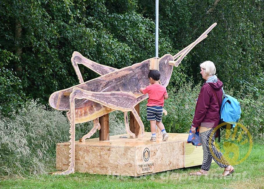 large wood insects 2
