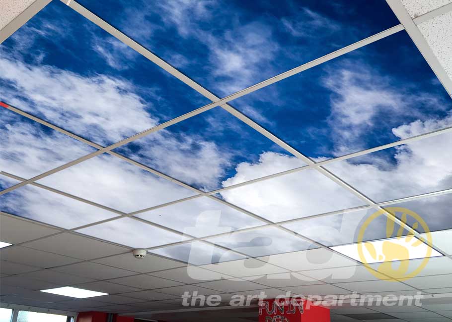 ceiling graphic sky