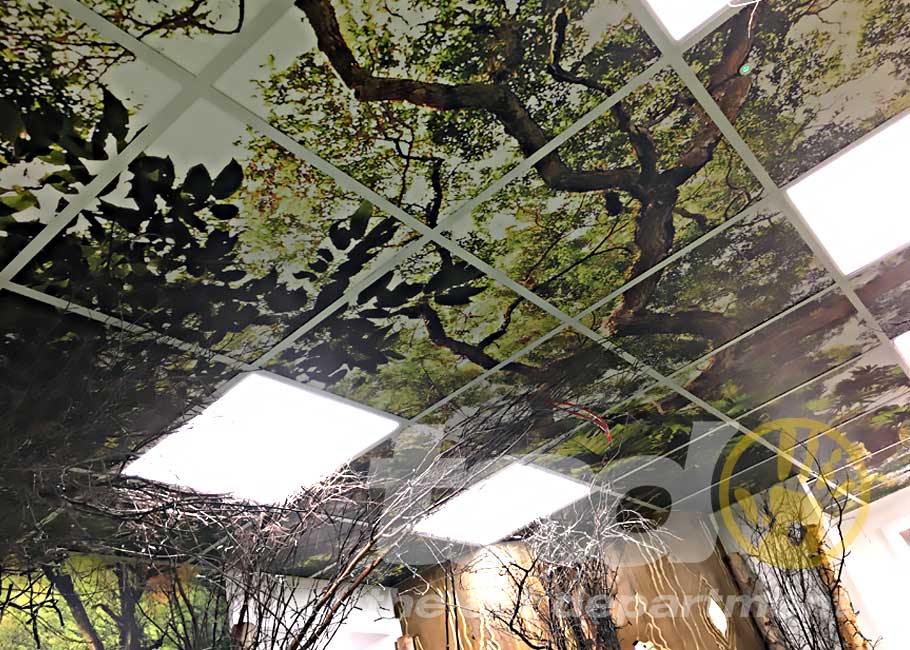 ceiling graphic trees 5